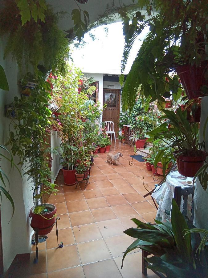 Arco De La Cobijada Apartamento Vejer de la Frontera Exterior foto
